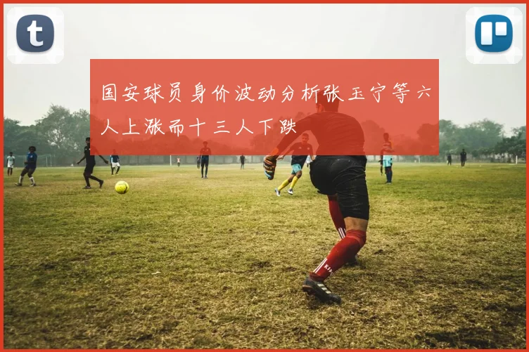 国安球员身价波动分析张玉宁等六人上涨而十三人下跌